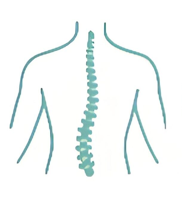 Physiotherapie Saskia Seemann